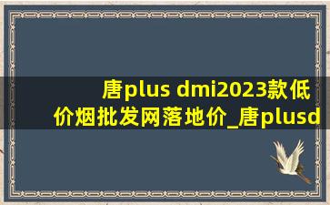 唐plus dmi2023款(低价烟批发网)落地价_唐plusdm-i落地价